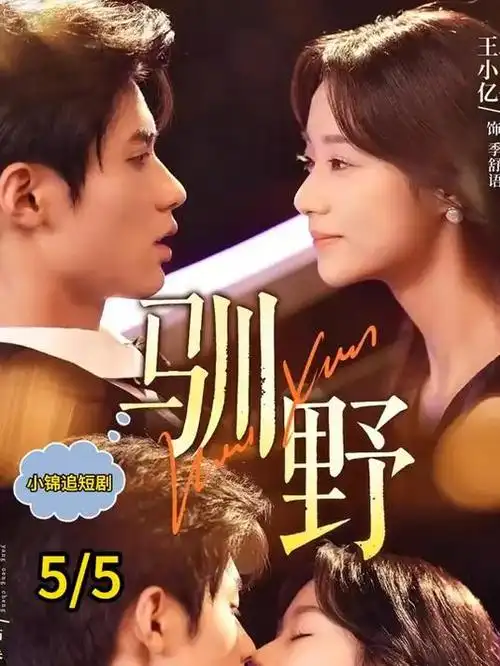 夜班便利店短剧在线观看